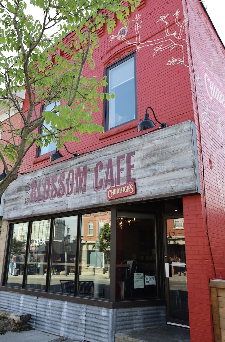 Blossom Café By Chudleigh's